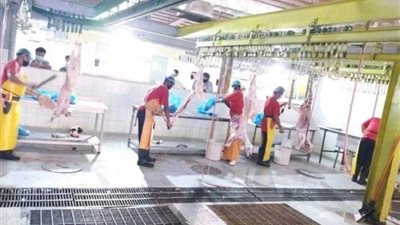 أمانة العاصمة المقدسة تعزز استخدام التطبيقات الإلكترونية لتنظيم ذبح الأضاحي خلال موسم الحج