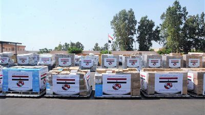 مصر ترسل مساعدات طبية للأشقاء فى تونس