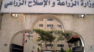 الزراعة: نعمل على توفير خدماتنا أونلاين للفلاح