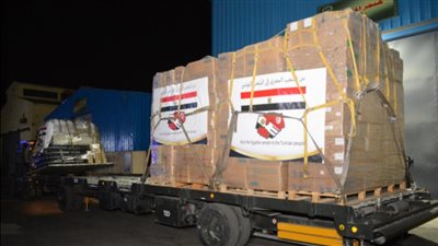 إقلاع طائرة عسكرية مصرية محملة بأطنان من المساعدات إلى تونس
