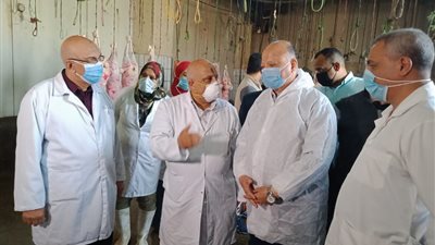 محافظ القاهرة يتابع استعدادات المجزر الآلي بالبساتين لعيد الأضحى (صور)