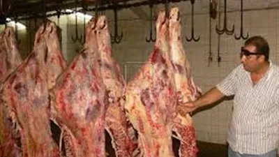 تحرير 12 محضر ذبح خارج المجازر الحكومية ببنها 