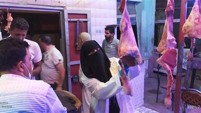 تحرير 424 محضرًا في حملات مكبرة بالدقهلية (صور)