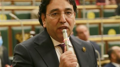 برلماني يطالب بوضع خطة لتدريب وتأهيل الرائدات الريفيات