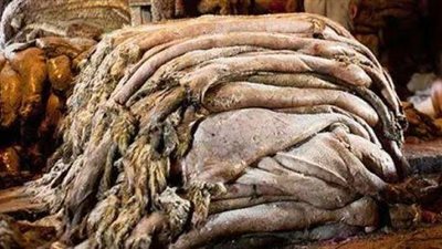 الجيزة: 5000 جنيه غرامة لصاحب هذه المخالفة بعد ذبح الأضحية 