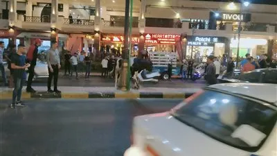 بقرة هاربة تثير الذعر في بورسعيد (صور وفيديو)