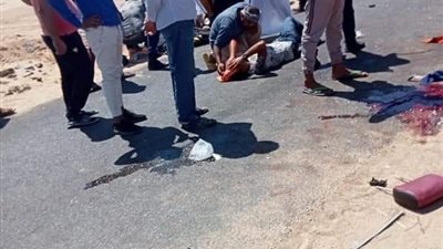 عجل أضحية يقتل شخصين ويصيب آخرين في المنوفية