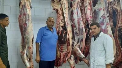 مجازر القليوبية تستقبل 369 أضحية خلال ثاني أيام عيد الأضحى