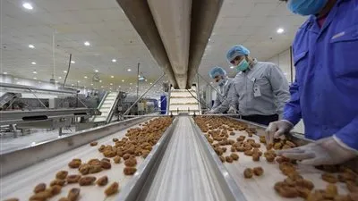 الصناعة: 1066 مصنعاً للحلويات والشوكولاتة بالمملكة أغلبها في الرياض