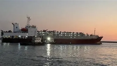 21 سفينة.. إجمالي الحركة الملاحية بموانئ بورسعيد 