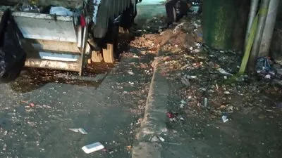 جهاز تجميل المنصورة يشن حملة مكبرة لرفع ٤٠٠ طن قمامة (صور)