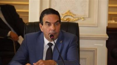 برلماني: نريد أن يكون السمك الأكلة الشعبية في كل مصر وليس المدن الساحلية