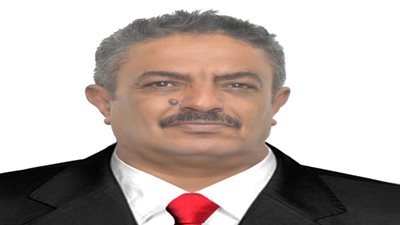 أكاديمي بجامعة عدن لـ