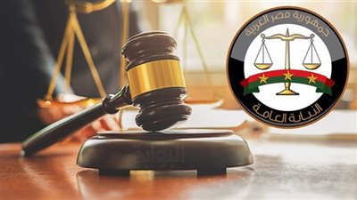 قرار جديد من المحكمة بشأن رانيا يوسف واتهامها بسب وقذف نزار الفارس