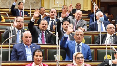 البرلمان يوافق على تخفيض رسوم تراخيص الصيد لـ5 آلاف جنيه