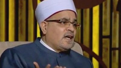 سالم أبو عاصى: السلفيون يريدون إلغاء العقل (فيديو)