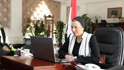 8 تصريحات مهمة من ياسمين فؤاد خلال الاجتماع الوزاري التحضيري لمحادثات المناخ