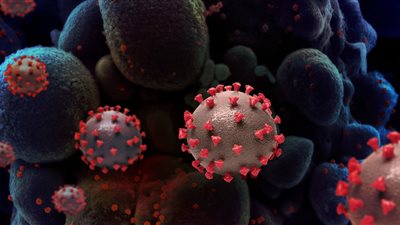 القومي للبحوث: الـ10 تحورات الجديدة لفيروس كورونا موجودة في مصر