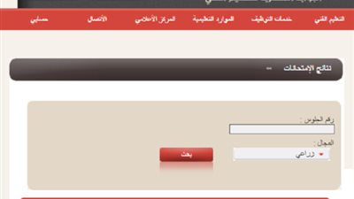 نتيجة الدبلومات الفنية 2021 بالاسم ورقم الجلوس الدور الاول من خلال رابط (البوابة المصرية للتعليم الفني) | fany.moe.gov.eg