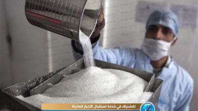 حسن كامل: مصر تحقق الاكتفاء الذاتي من السكر الموسم المقبل (فيديو)