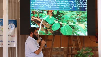الزراعة: الواحة الخارجة مليئة بالنبات المستخدمة في  الصناعات الطبية
