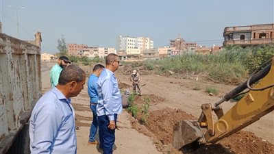 زراعة 1500 شجرة مثمرة وتزيين الشوارع  في كفر الشيخ 