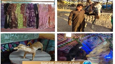 حلقة 2| متحف للتراث وملاهي أطفال.. القرية البدوية أيقونة حافظت على التراث في  مطروح