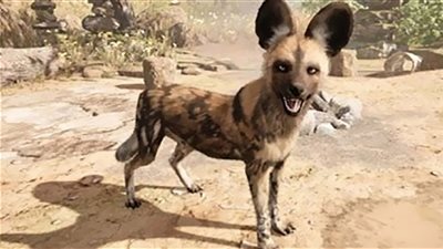 إصابة 9 أشخاص في هجوم حيوان مفترس بالمنيا