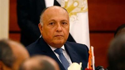 عاجل.. سامح شكري يتوجه إلى تونس