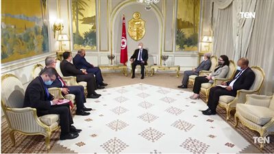 وزير الخارجية يكشف فحوى رسالة الرئيس السيسي لنظيره التونسي (فيديو)