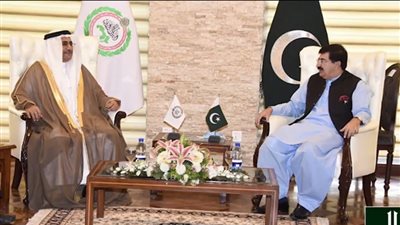 تفاصيل لقاء رئيس البرلمان العربي مع رئيس مجلس الشيوخ الباكستاني