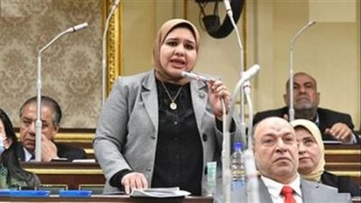 بسبب إهمال المواطنين.. عضو 