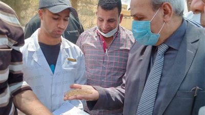 بـ 237 ألف طن.. بني سويف 