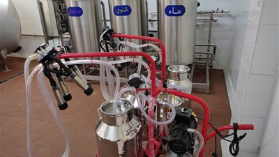 41 مليون لتمويل 15 مركزًا.. تحركات حكومية جديدة لإنجاح 