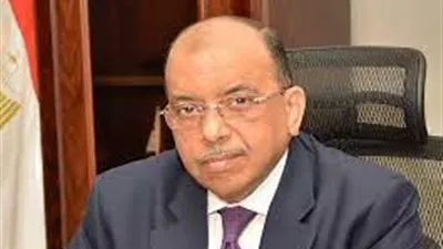 التنمية المحلية تتابع معدلات تنفيذ مشروعات 