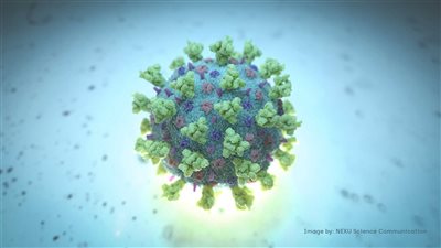 من الشهادات الصحية للحجر.. 