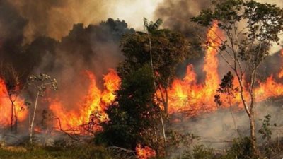 اليونان: حرائق الغابات تواصل الاشتعال في مساحات شاسعة من الغابات المتبقية