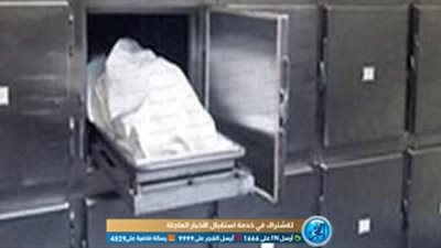 تفاصيل مصرع طفل في بيارة ري بالدقهلية 