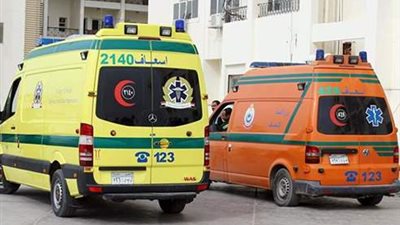 تفاصيل إصابة عاطل في محاولة انتحار بعد مشاجرة مع زوجته بالدقهلية 