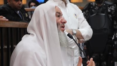 محمد حسان عن الشيخ أحمد الطيب: أحبه وأقدره