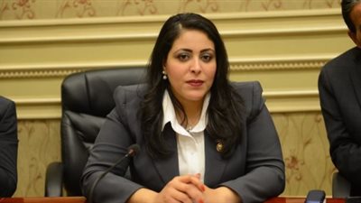 تنسيقية شباب الأحزاب: شكاوى مجلس الوزراء اختراع لعلاج المصريين (فيديو)