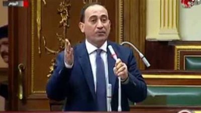 برلماني يطالب بفتح ملف الألعاب الفردية وبحث آليات تقديم الدعم الكامل 