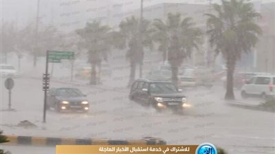 هل الشتاء القادم قارس البرودة؟.. الأرصاد تجيب  