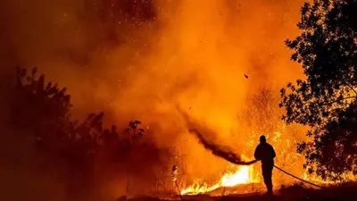 القصة الكاملة لحرائق الجزائر.. عدد الضحايا صادم 