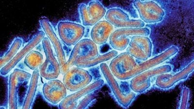 لا يوجد له لقاح.. ما هي خطورة فيروس 