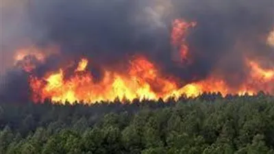 نشوب حرائق هائلة في غابات بالشمال الغربي التونسي