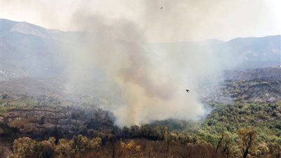 مقتل ما لا يقل عن 65 شخص في في حرائق الجزائر واليونان وإيطاليا