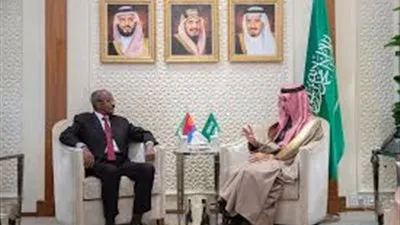 وزير الخارجية يستقبل وزير خارجية إريتريا