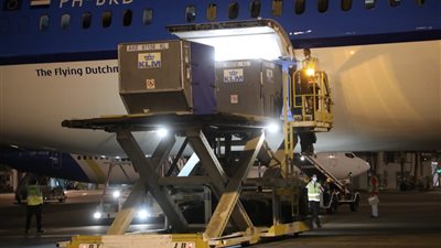 وزيرة الصحة: استقبال مليون و 766 ألفاً و400 جرعة من لقاح 