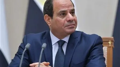 برلماني: السيسي يرغب في وصول الدعم لمستحقيه 